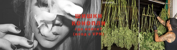 дживик Елабуга
