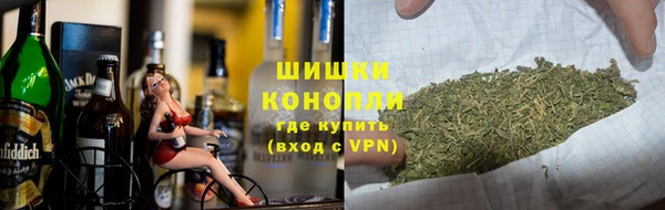 дживик Елабуга