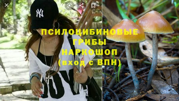 метамфетамин Ельня