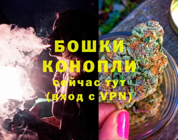 дживик Елабуга