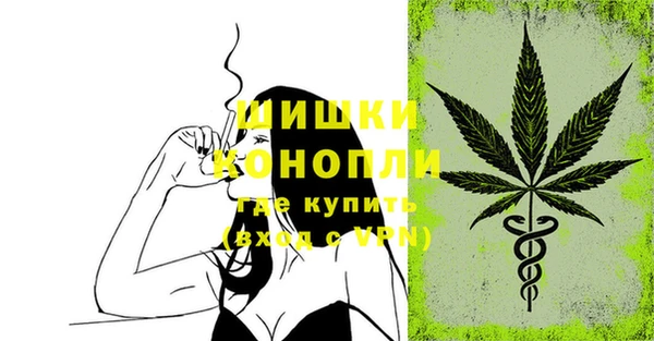 метамфетамин Ельня
