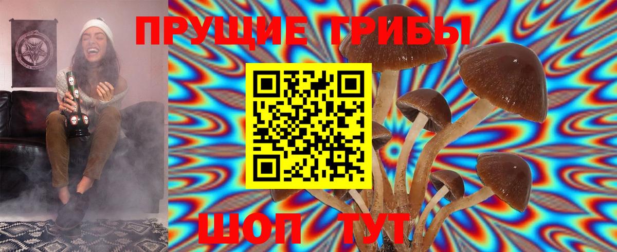 Псилоцибиновые грибы MAGIC MUSHROOMS  Галлюциногенные грибы Magic Shrooms  Вход с VPN  где можно купить наркотик  Чапаевск 